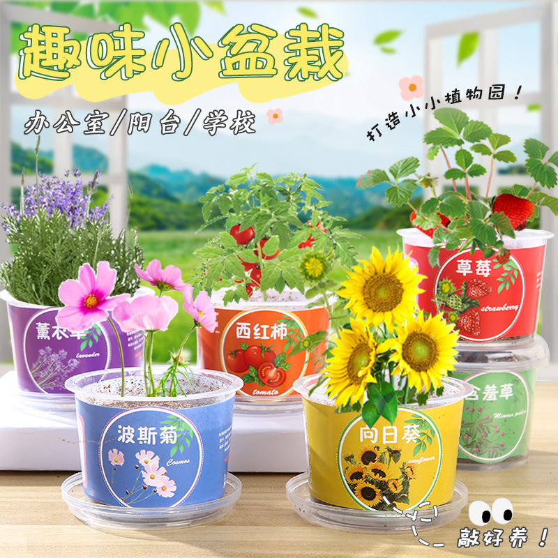 Креативные детские маленькие горшечные растения для фруктов и овощей студенты мини настольные горшечные растения эксперименты в детском саду чашка для посадки фруктов и овощей
