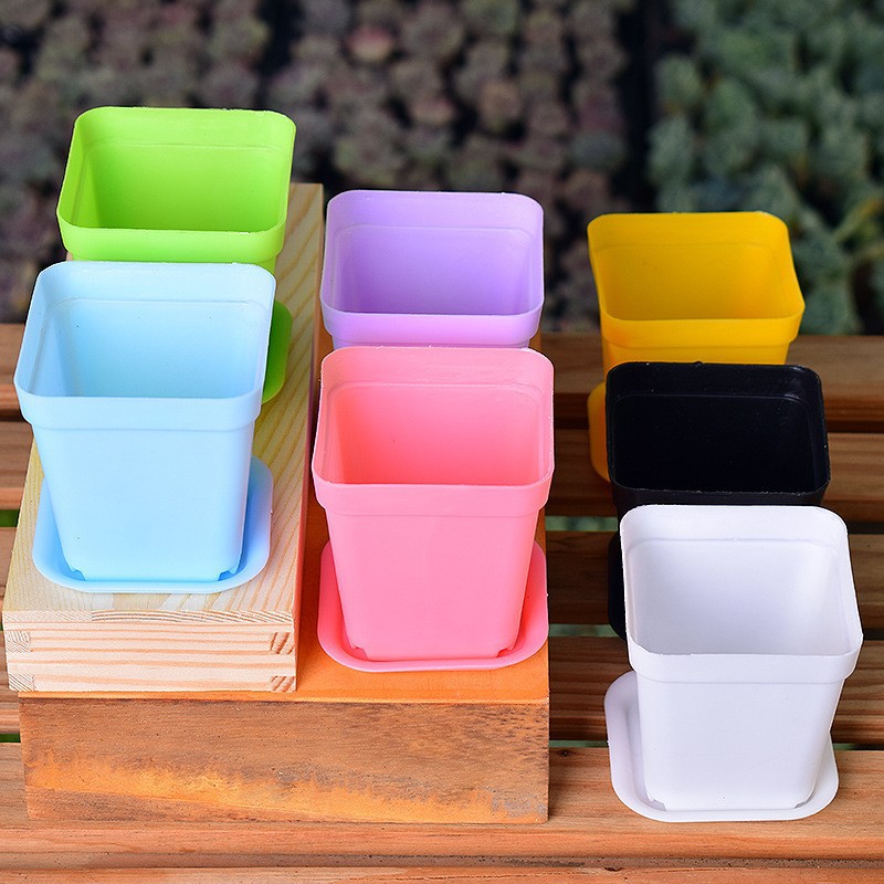 New Mini Small Square Pot Seven-Colorful Small Flower Pot Succulent Pot Small Black Square Plastic Pot Seedling Pot Manufacturer Wholesale