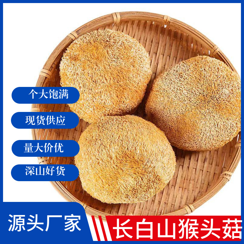 Northeastern Changbai Mountain Specialty Dried Hericium Mushrooms 500g Rootless Bulk Wholesale Food New Stock Fungus Black Fungus Commercial Use