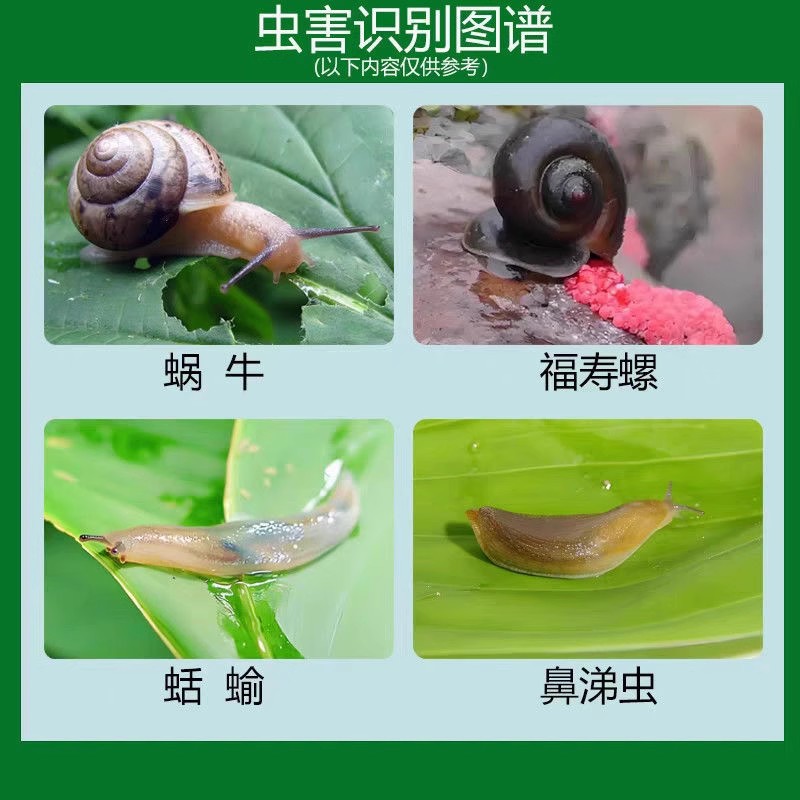 Snail and Slug Control Agent for Gardens, Fruit Trees, Vegetables, and Farmland, Suitable for Flowers