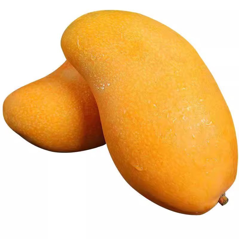 Hainan Jinhuang Mang 5kg Mango Grade a Large Fruit Fresh Fruit Freshly Picked Green Sweetheart Yellow Skin Narcissus Mango Whole Box Bag
