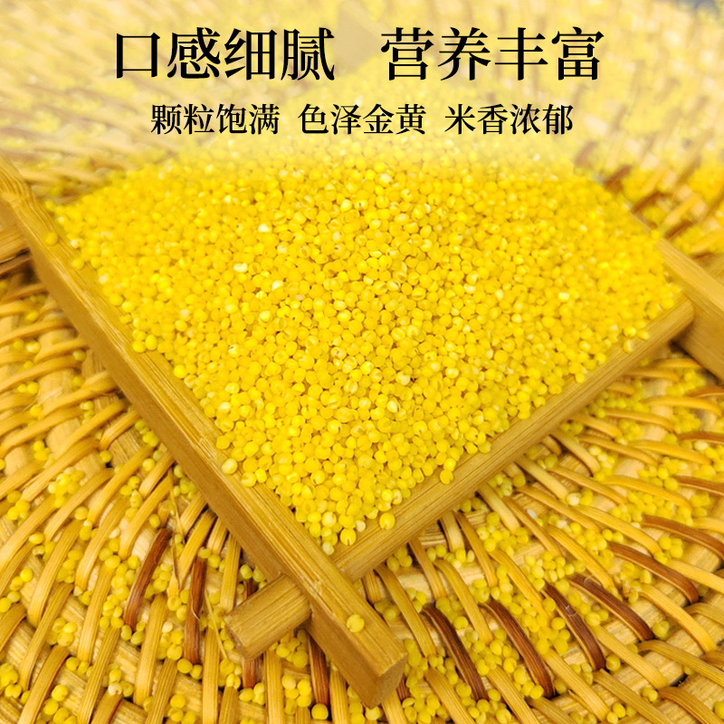 Organic Yellow Millet Selected Bagged 400g*2 Pure Inner Mongolia Millet Spot Wholesale Coarse Grain Rice Multigrain Porridge