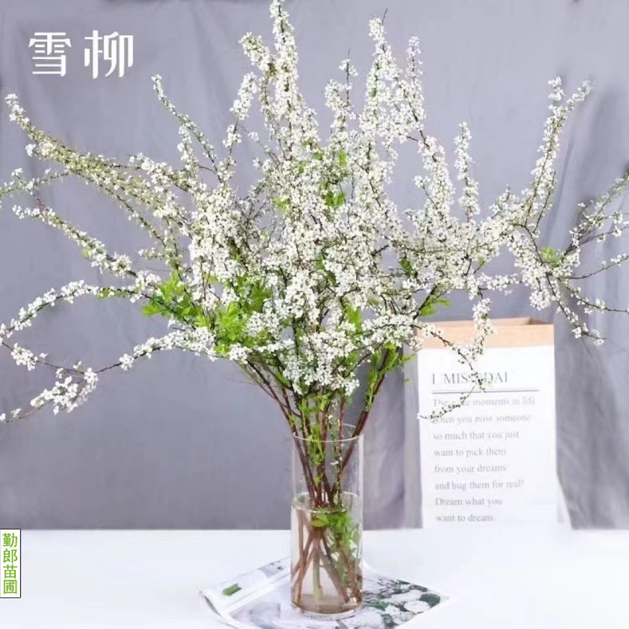 Snow Willow Dead Branches Bloom in Spring, Dry Branches Bloom When Exposed to Water, Hydroponic Flowers Are Easy for Lazy People to Grow, Florals Are Cold-Resistant Green Plant Potted Plants