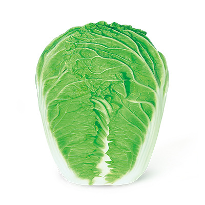 Source Manufacturer Wholesale Chinese Cabbage Seeds, Autum Baby Cabbage Seeds, Cabbage, Egg Yolk, Fire Phoenix Seeds
