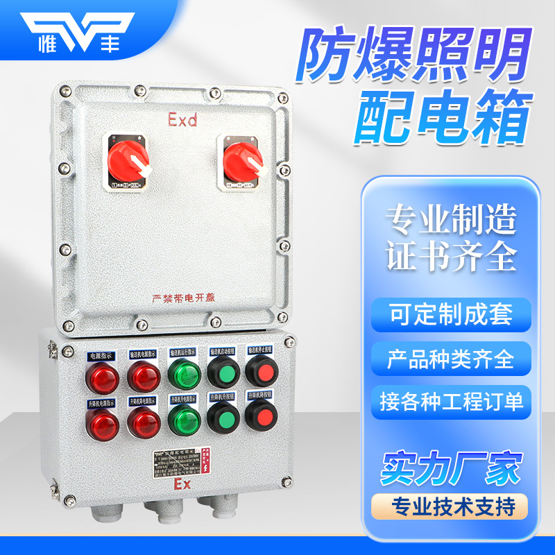 Explosion-Proof Distribution Box Maintenance Junction Box Power Instrument Positive Pressure Cabinet Button Control Switch Terminal Box Socket Box Factory