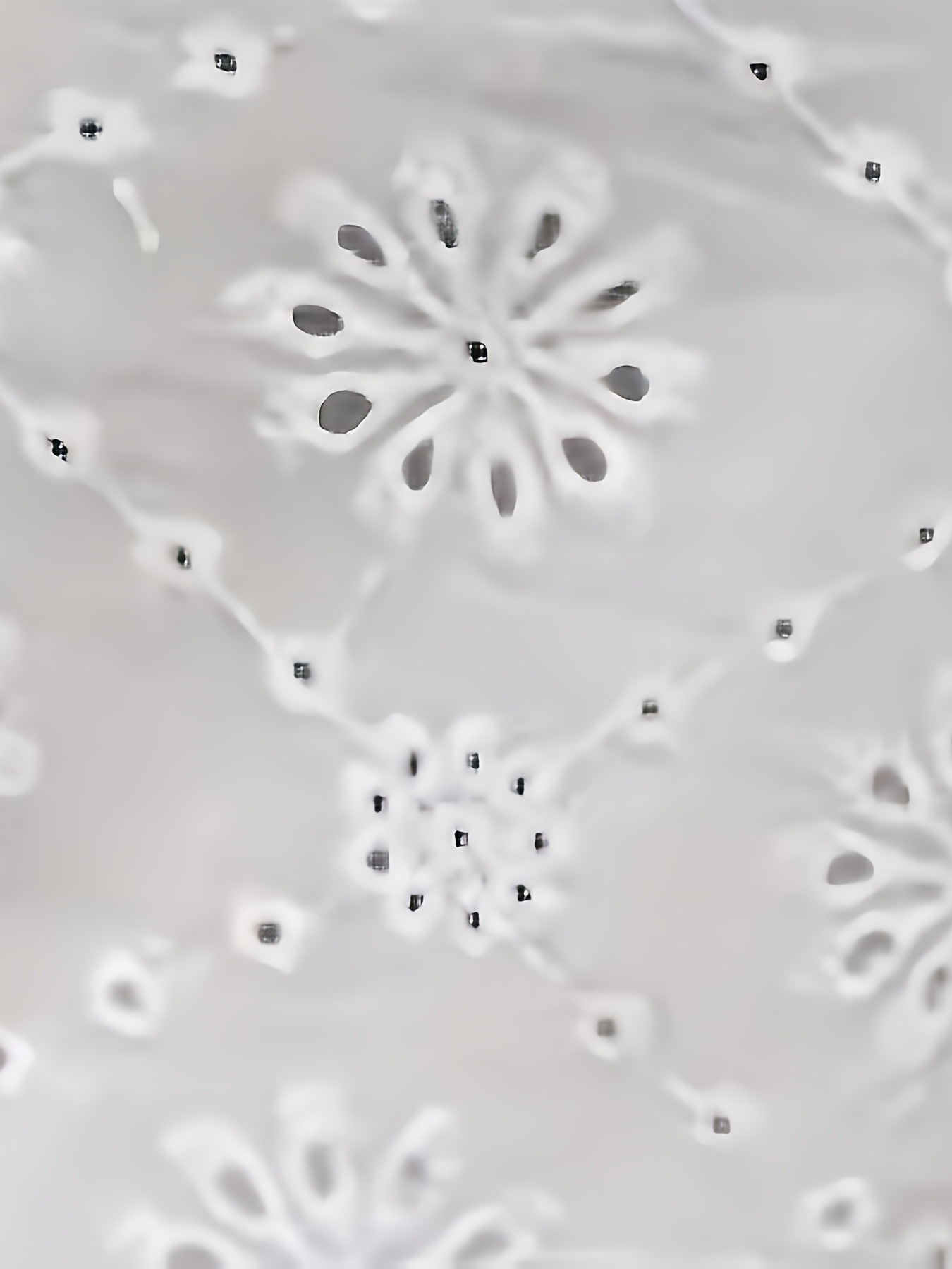 Women's elegant V-neck hollow top with butterfly sleeves and lace detail, 95% stretch polyester