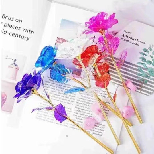 24k gold foil rose Tanabata to send his girlfriend a single carnation to send teachers gold shop activities with hand gift batch