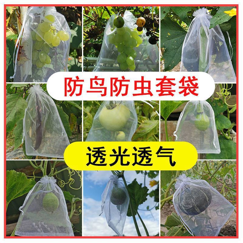 [Бесплатная доставка] Сумка для фруктов, защита от насекомых и птиц, дышащая и защищающая от плодовых мух для деревьев лонгана