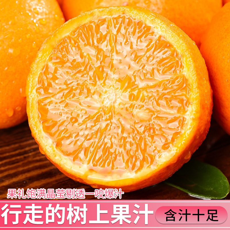 Jiangxi Gannan Navel Oranges 5kg Oranges Seasonal Fruits Fresh Ganzhou Jelly Hand-Peeled Rock Sugar Sweet Oranges Whole Box