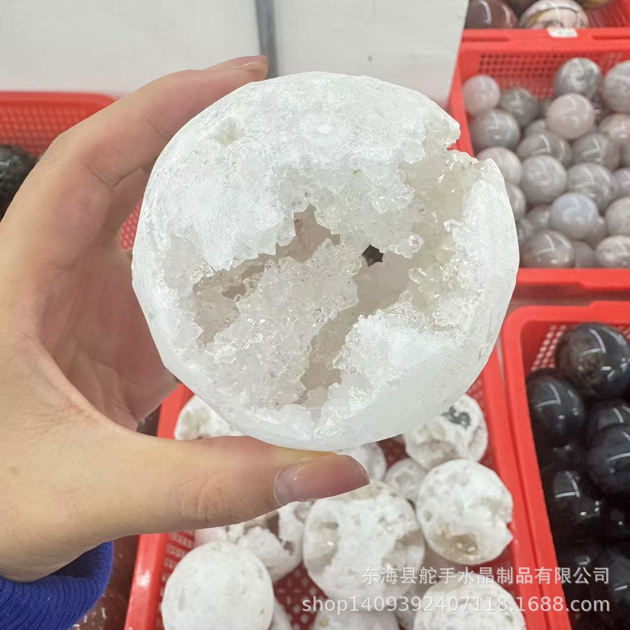 Live dedicated link 1 yuan link