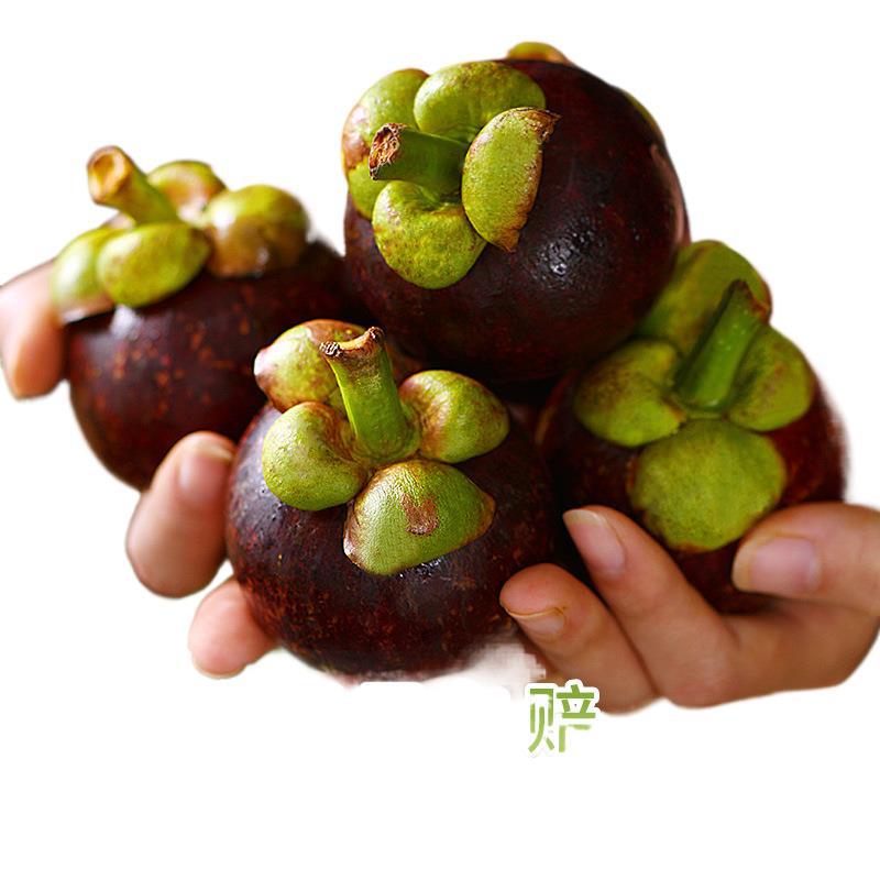 Fresh Thai Mangosteen Large Fruits Whole Box 5kg Seasonal Fruit Sf Free Shipping Seasonal Large Fruit Oil Mangosteen Rattan 6A