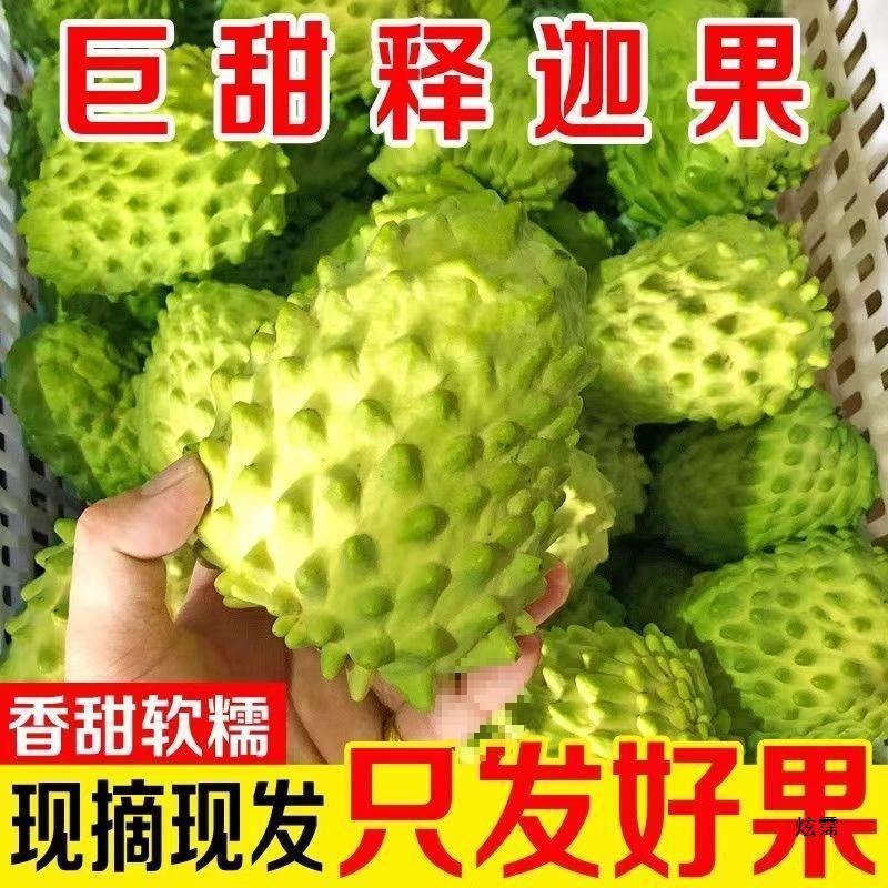 Milk Saba Fruit Fresh 2.5kg Pineapple Saba Fruit Seasonal Saba Fruit Buddha Head Fruit