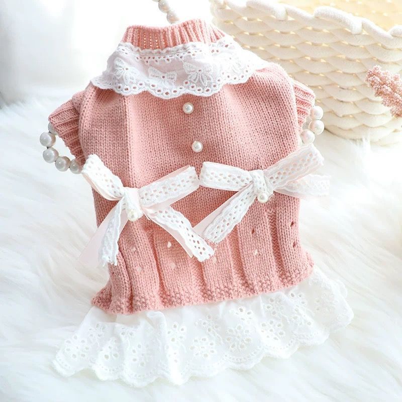 Dog Clothes Teddy Bears Beaumi Schnauzer Puppies Ladies Princess Sweater Dress Spring Autumn Winter Suit