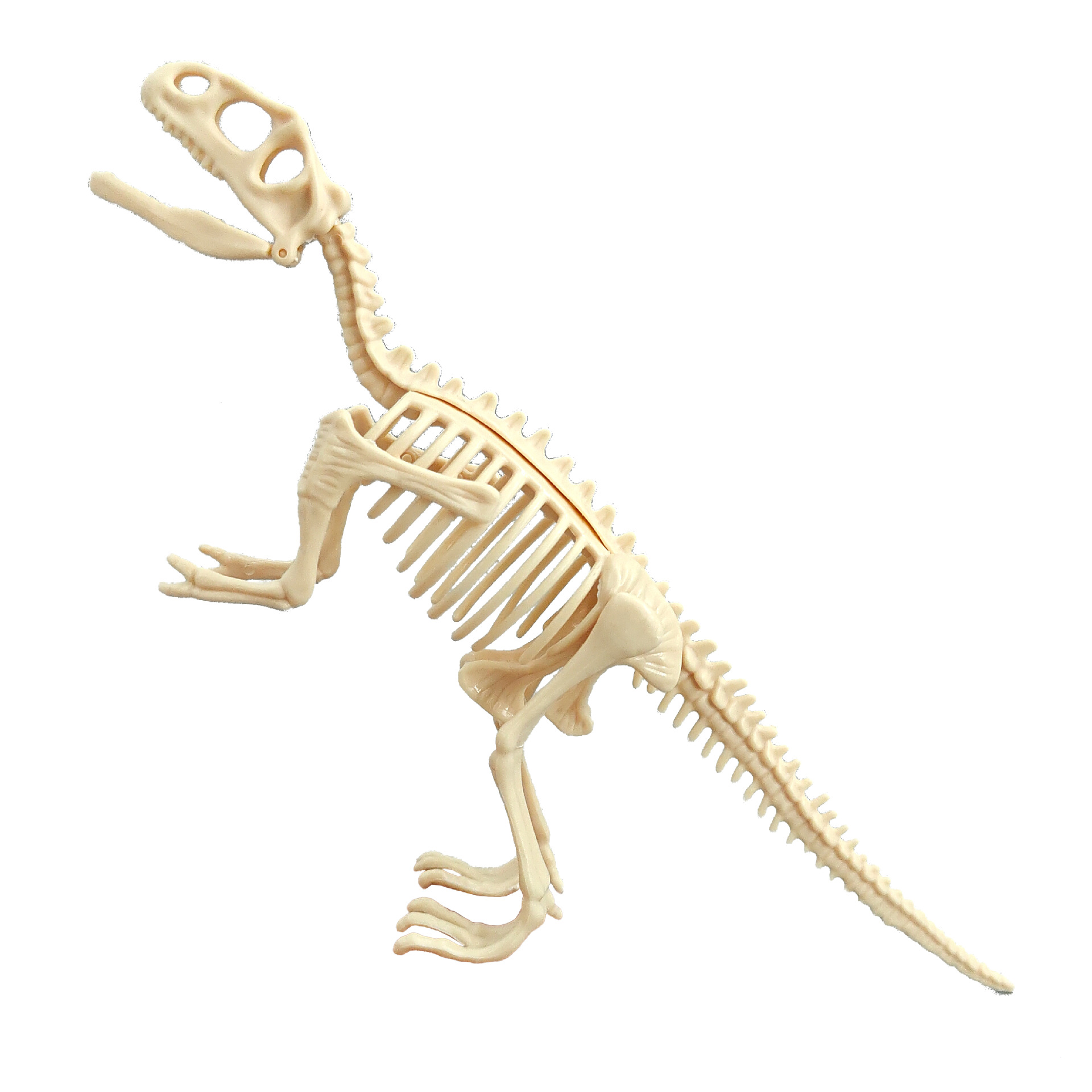 Archaeological disassembly dinosaur skeleton large animal dinosaur fossil luminous toy mining tools manufacturers wholesale cross-border