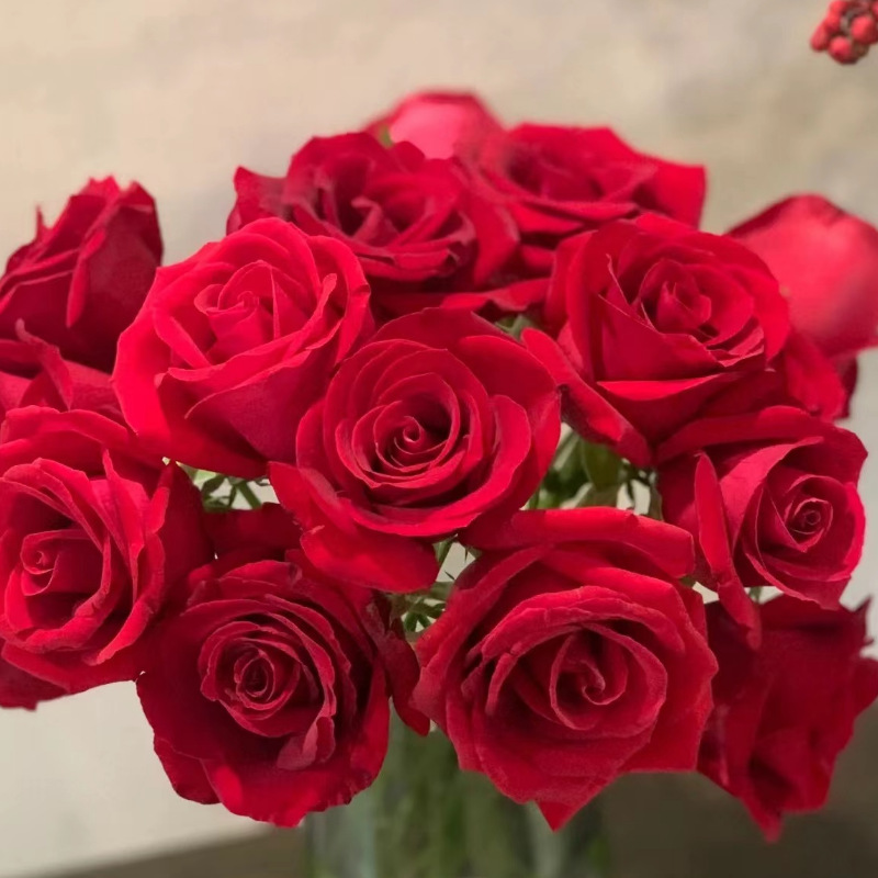 Rose Flowers Mother's Day Wholesale Yunnan Kunming Flowers Direct Batch of Real Flowers Flowers Together to Set up a Stall