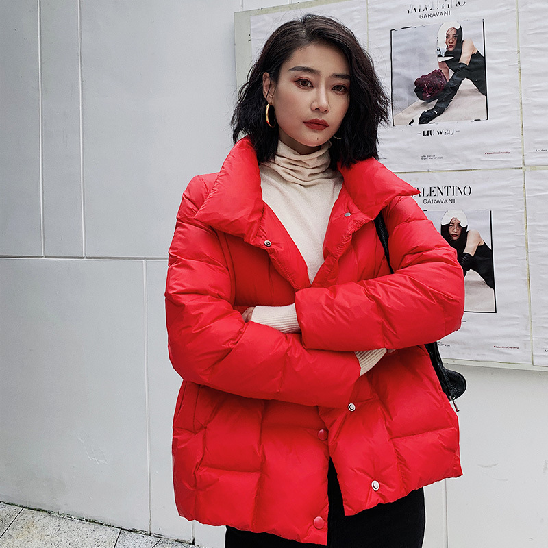 Ladder Style Light and Short 2023 New down Jacket for Women Loose Stand Collar Fashionable Women's Style Trendyy Jacket
