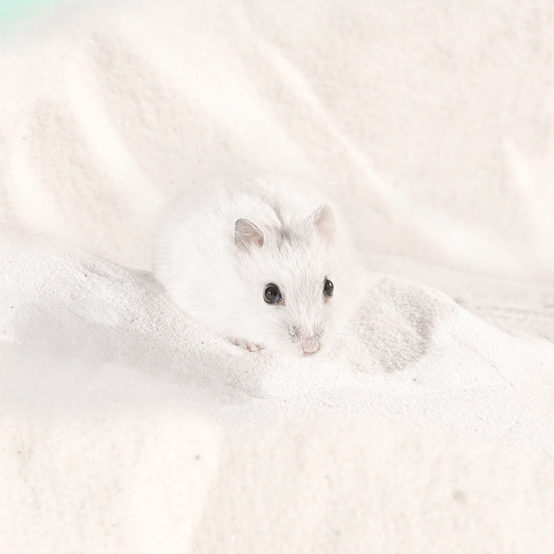 Hanhanle Hamster Bath Sand 1kg Chinchilla Golden Bear Bath Bath Sand Deodorizing Cleaning Hamster Supplies Wholesale