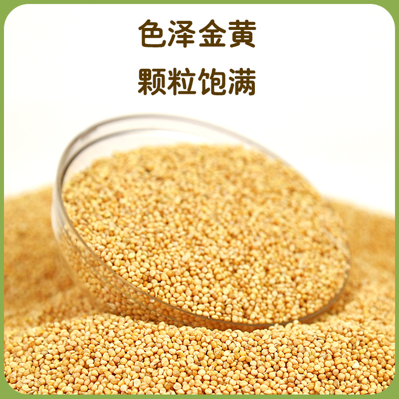 Bird food Bird food with Shell New yellow millet budgerigar Xuanfeng peony food feed with Shell millet parrot feed