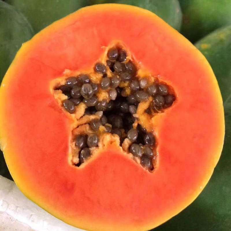 Guangxi Red Heart Milk Papaya Season Fresh Fresh Tropical Fruit Now Picked Papaya a Generation of Fat