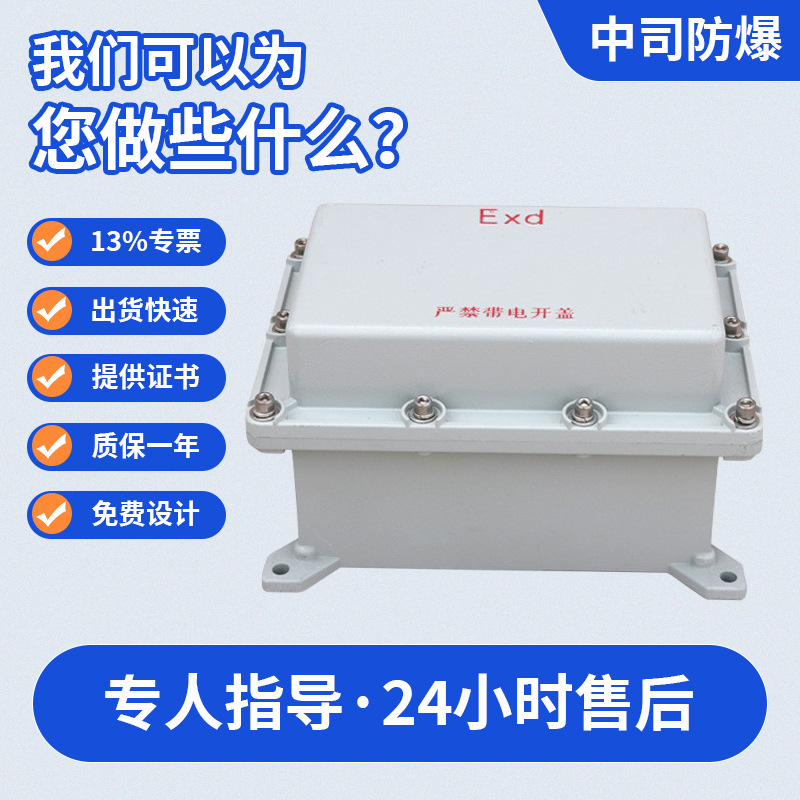 Explosion-Proof Power Distribution Cabinet, Explosion-Proof Power Distribution Box, Explosion-Proof Anti-Corrosion Maintenance Box, Wiring Box, Stainless Steel Power Switch Control Box