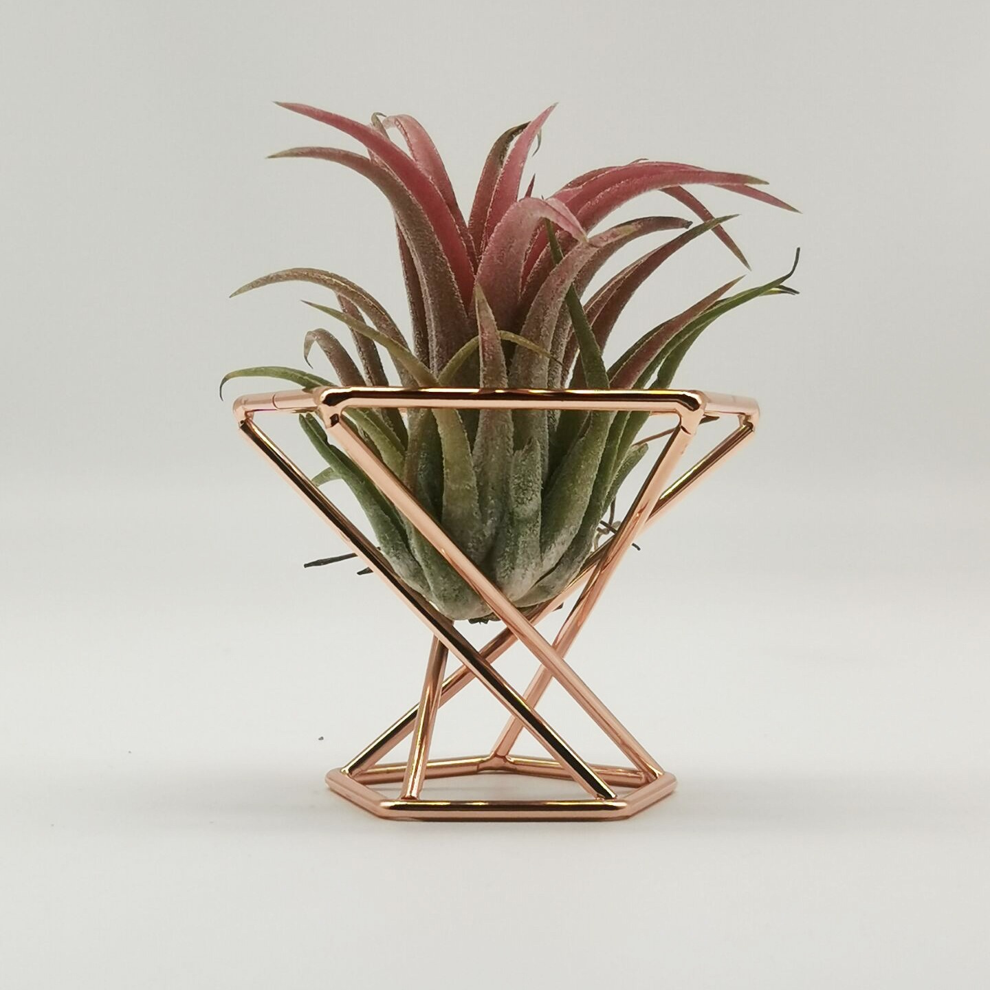 Pineapple Plant Stand, Geometric Air Plant Stand, Iron Orchid Stand, Beauty Egg Puff Storage Rack
