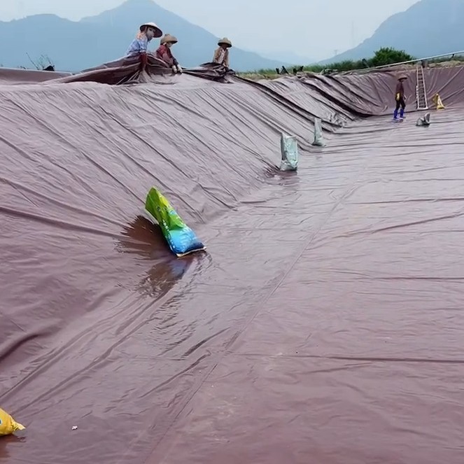 Wholesale Anti-Seepage Cloth, Pool Cloth, Fish and Shrimp Breeding Pool Cloth, Anti-Aging Protection Ten-Year Pe Tarpaulin Can Be Customized