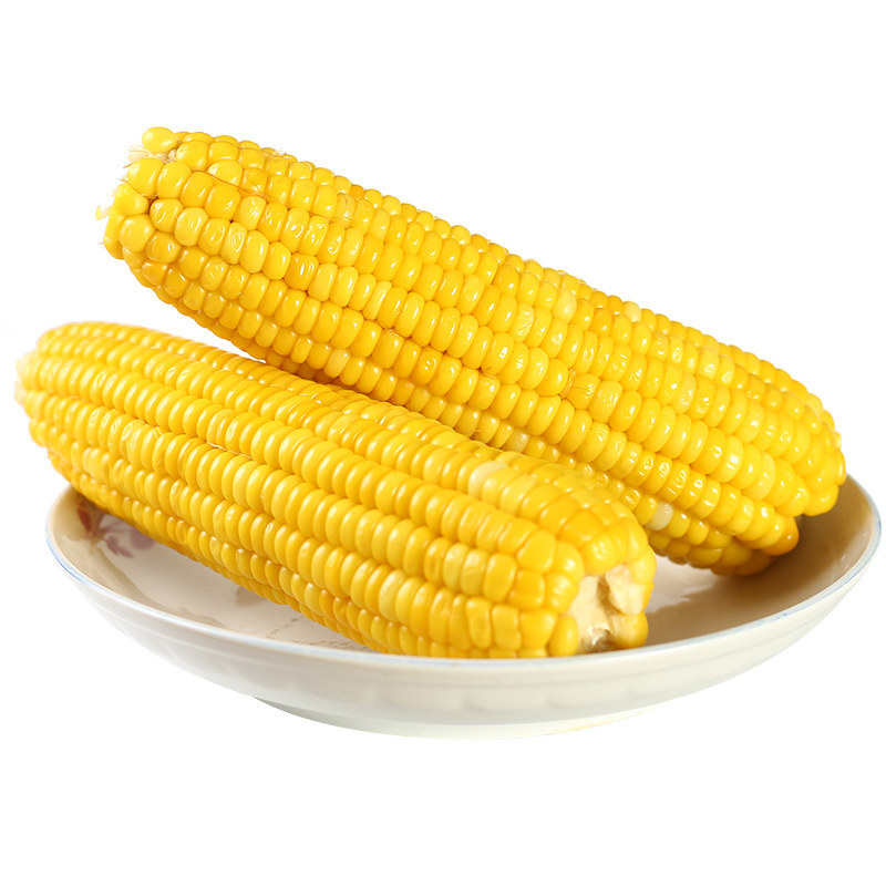 Northeast yellow waxy corn cob vacuum packaging waxy corn coarse grain meal ready-to-eat sticky corn cooked corn wholesale