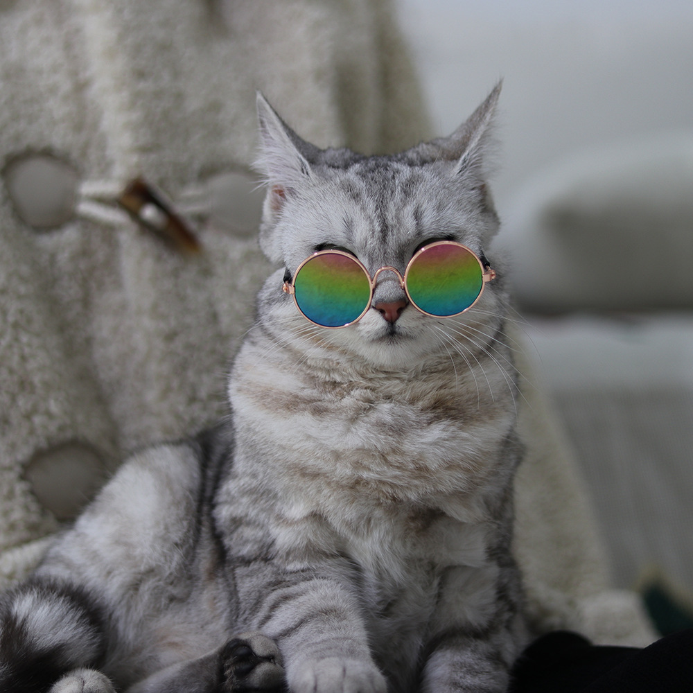 Pet glasses cat supplies creative trend dog pet supplies new strange funny cat sunglasses in stock wholesale