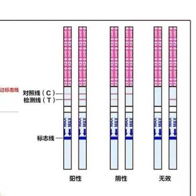David Ovulation Test Paper High Precision Pregnancy Test Ovulation Follicle Semi-quantitative Quasi-pregnancy Test Paper Female Test
