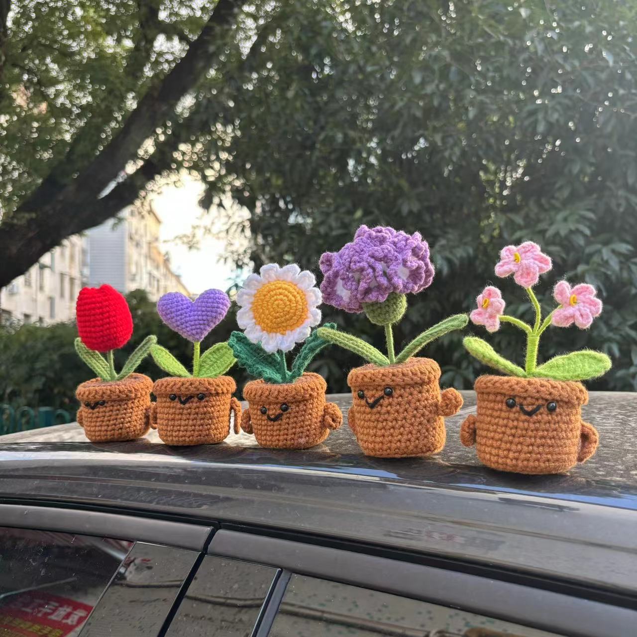 Горячая распродажа Amazon, эмоциональная поддержка, подарок растение, ручная работа, DIY растение