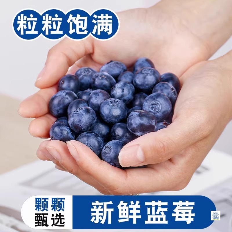 Blueberry Fresh Fruit Seasonal Whole Box Yike Yunnan Fresh Fruit Freshly Picked Extra Large Fruit Sf Free Shipping