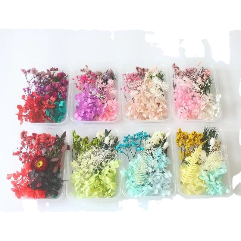 Mother's Day 520 Eternal Flower DIY Material Package Lunch Box Handmade Dried Flower Fan Photo Frame Creative Handmade Yunnan Wholesale