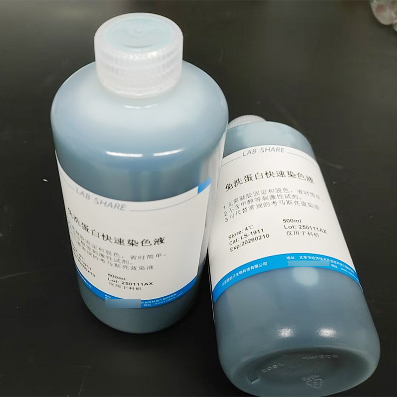 Wash-free protein rapid staining solution microbiological experiments for scientific laboratory manufacturers supply only
