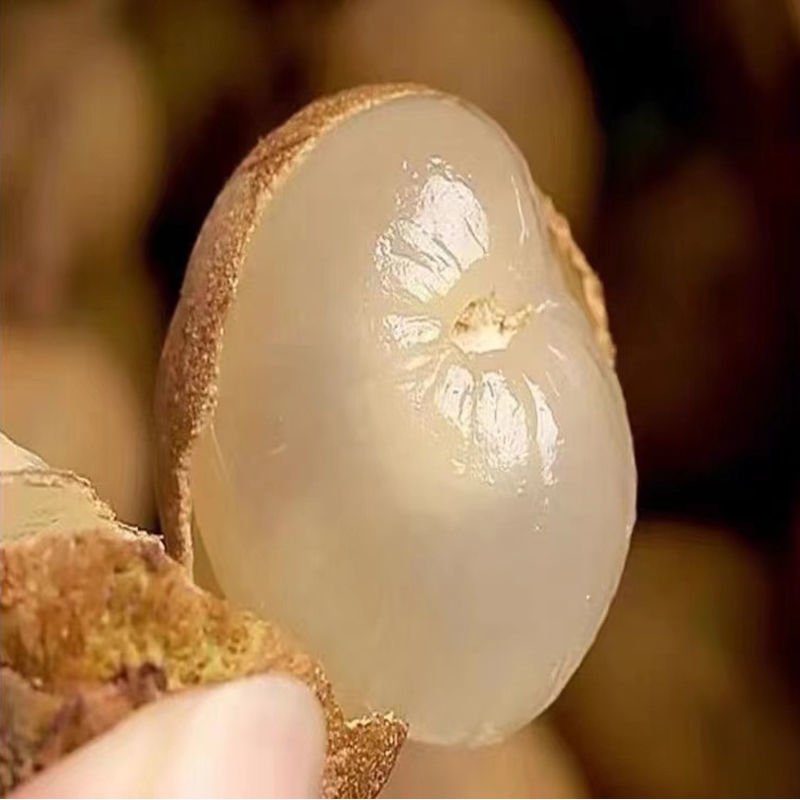 Sf Express Air-Shipped Fresh Longan from Guangdong Gaozhou Shi Xian Chu Liang Longan Super Sweet Whole Box Fruit Factory