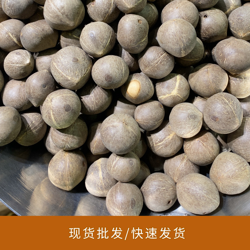 Small sea coconut king small coconut shell small coconut king mini small sea coconut coconut milk dessert 100g soup wholesale