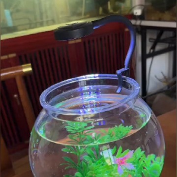 LED fish tank lamp water plant tank lamp energy saving small and medium fish tank splash proof water clip lamp ornamental fish tank lighting lamp