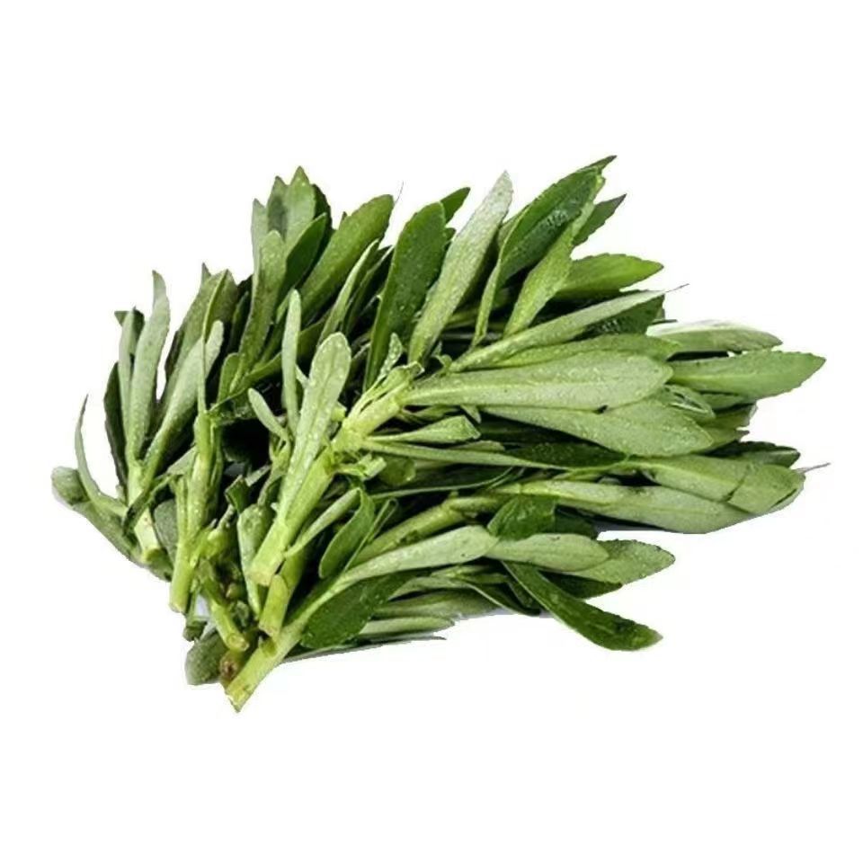 High-Vegetable Wild Vegetables Can Save the Heart. Calcium Vegetables Can Be Grown Now and Sold. Healthy Fresh Seedlings. Free Shipping for All Seasons