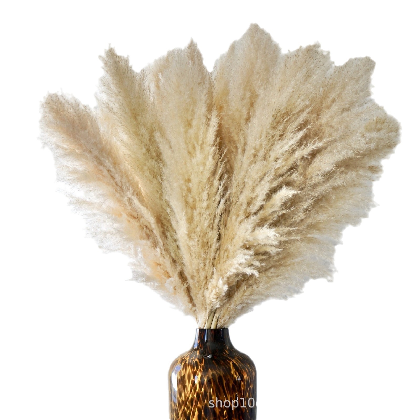 Pampas Grass Dried Flower Bouquet Wedding Decoration Photo Props Reeds Large Pampas Grass Air-Dried