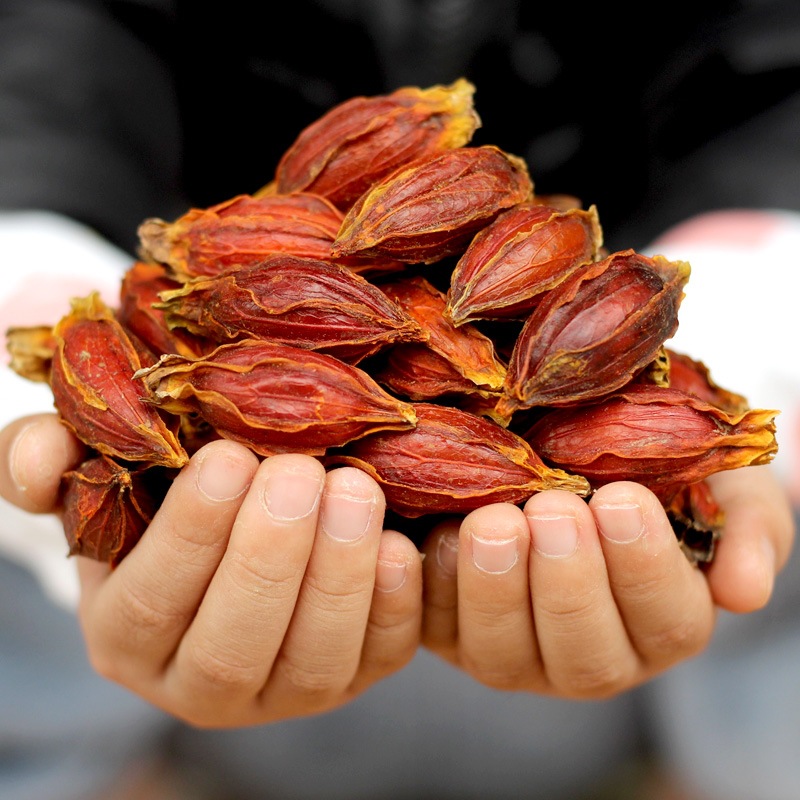 Authentic Gardenia 500g Pack Yellow Gardenia Fruit Mountain Gardenia Red Wild Spice Coloring Edible Chinese Herbal Gardenia Tea Powder