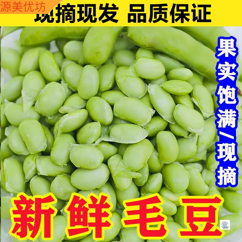 Fresh Shelled Edamame from Yunnan, Freshly Picked Green Beans, Tender Green Bean Pods, Farm-Grown, Whole Box with Free Shipping