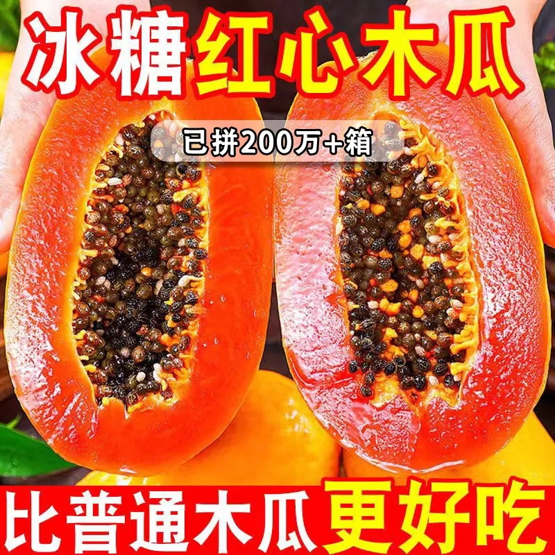 Freshly Picked Guangxi Papaya, Seasonal Rock Sugar Heart Papaya, Non-Leizhou Papaya Tree Ripened Wholesale, Naturally Ripe