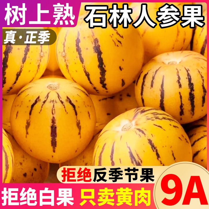 Гinseng Fruit из Шилин, Юннань 4.5кг свежие фрукты, подарочная коробка, бесплатная доставка