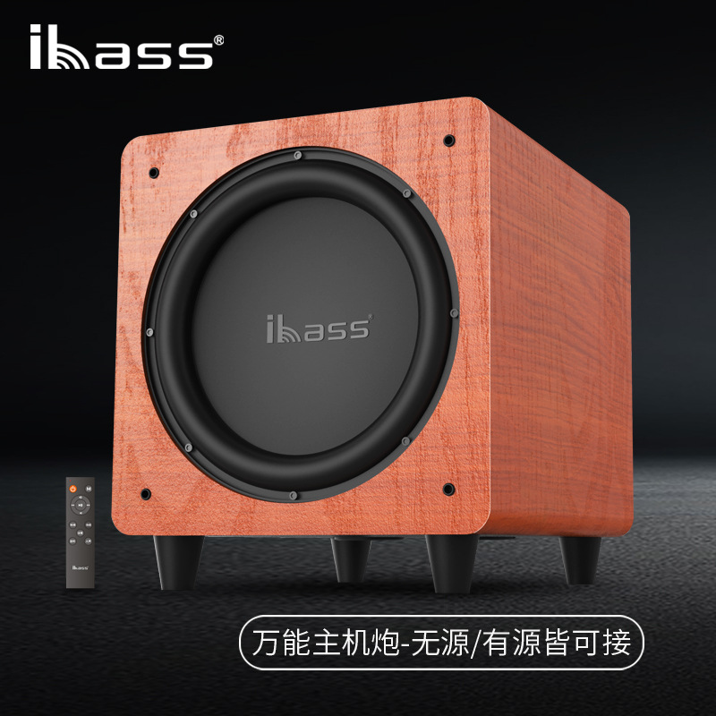ibass10 inch Active Subwoofer stereo with Echo Wall power amplifier Bookshelf 2.0 computer TV speaker