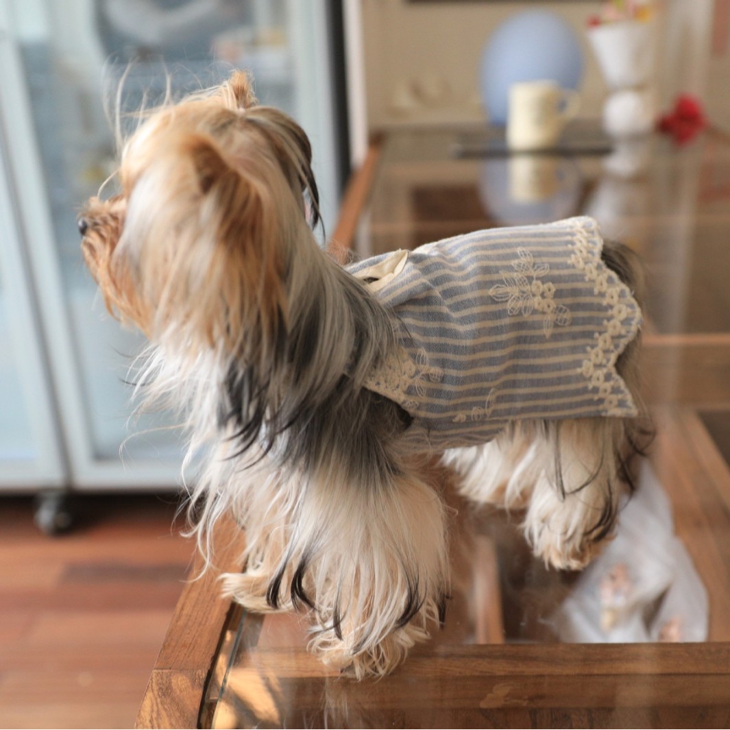 Юбка для домашних животных, вышитое полосатое платье, дышащая одежда для собак