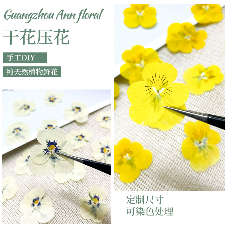 Beauty Photo Face Pressed Flower Painting Handmade Candle Table Lamp Dried Flower DIY Material Natural Color Pansy Dried Flower Embossed