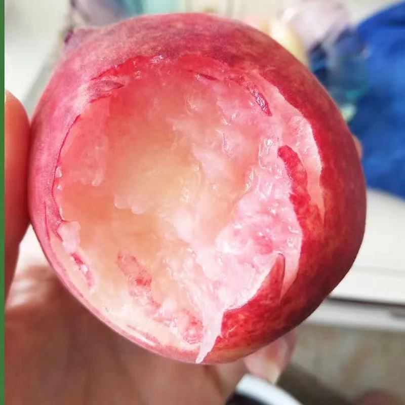 Shandong Breakthrough Peach Origin Direct Delivery Peach Free Shipping Fresh Fruit Peach Dropshipping
