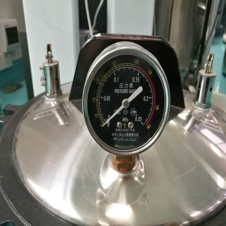 Steam Pressure Sterilizer 18 Liters High Pressure Sterilizer Coal Electric Dual-use High Pressure Sterilizer 18LM Binjiang Medical