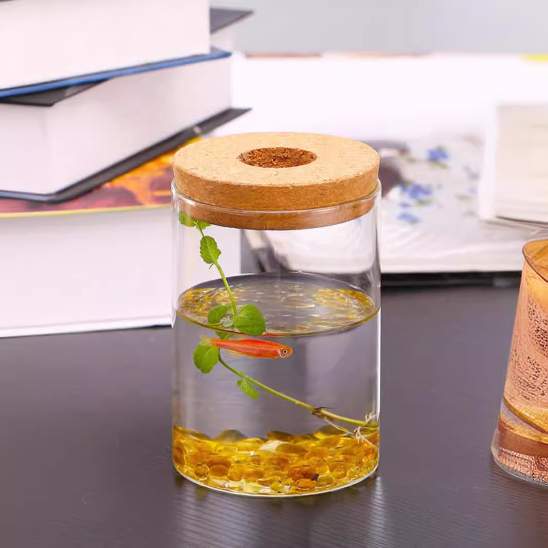 High Borosilicate Glass Straight Vase Green Rose Small Fish Tank Flower Arrange Hydroponic Landscape Flower Pot Vase Glass Ornaments