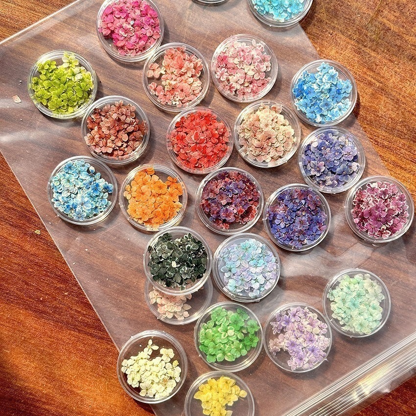 Japanese ins style mini nail art dried flower natural bet flower dried flower factory wholesale wear real flower