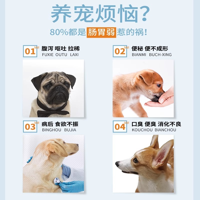 New pet health dog probiotics pet nutritional supplement probiotics teddy cat special probiotic powder